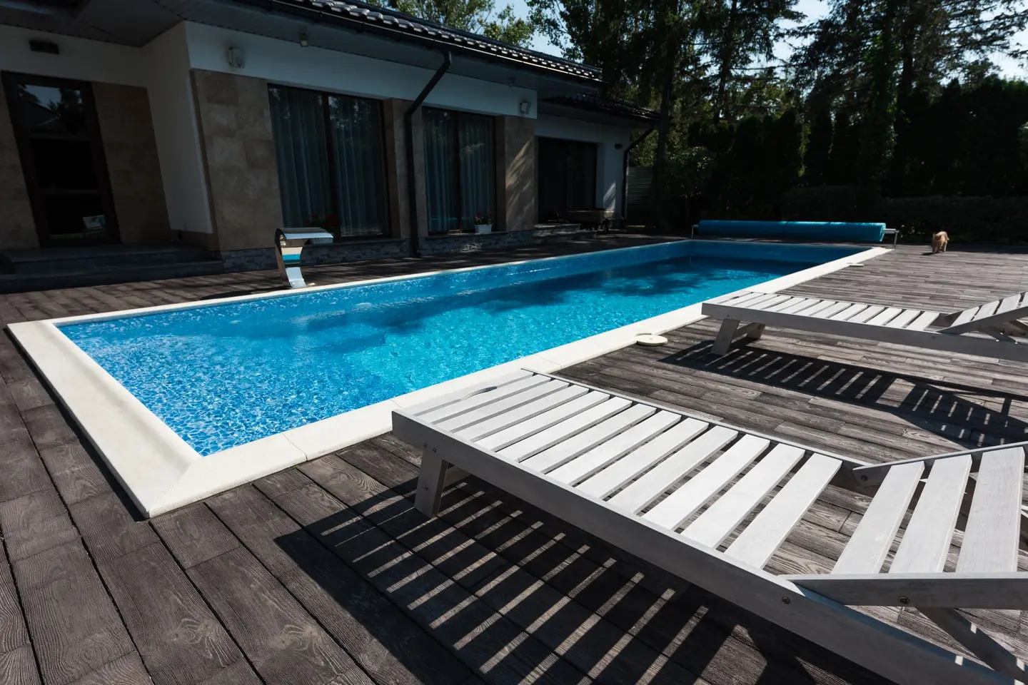 Piscine enterrée rectangulaire bordée d'une plage en lames de bois et de bains de soleil, devant une maison de plain-pied