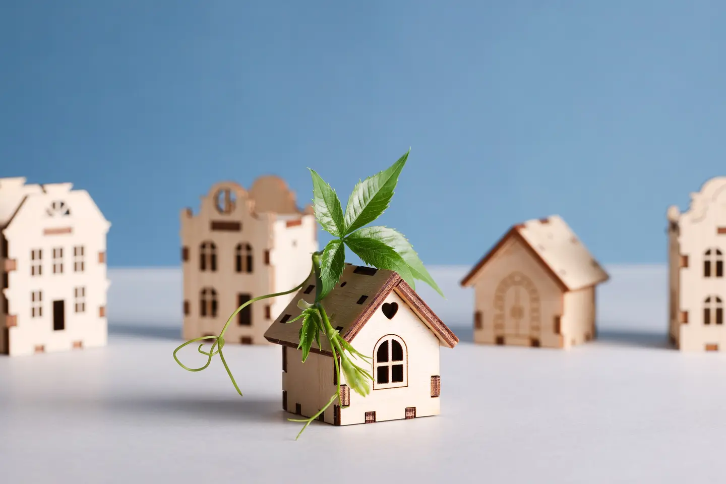Maisons miniatures en bois, l'une coiffée d'une jeune pousse