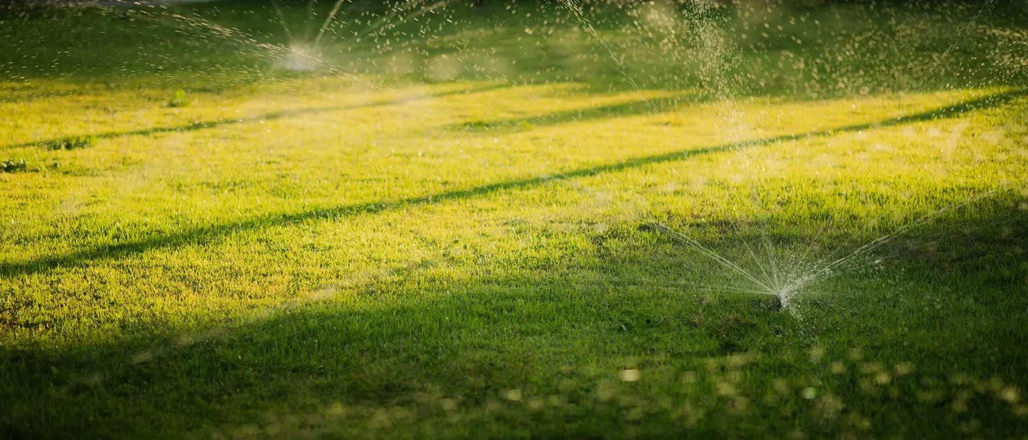 Arroseurs escamotables arrosant une pelouse au coucher du soleil